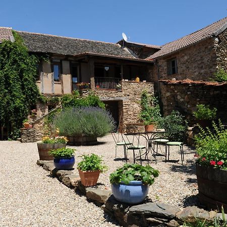Chambres D'Hotes Le Puits D'Amour Mirandol-Bourgnounac Exteriör bild