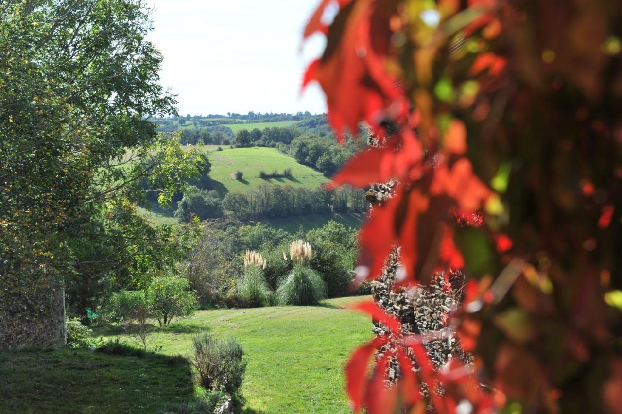 Chambres D'Hotes Le Puits D'Amour Mirandol-Bourgnounac Exteriör bild