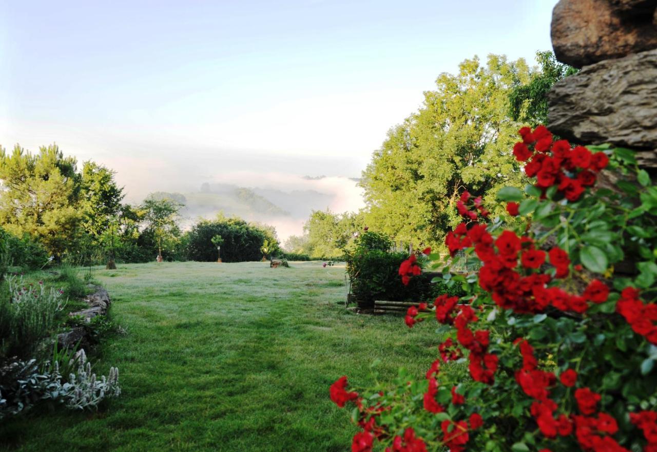 Chambres D'Hotes Le Puits D'Amour Mirandol-Bourgnounac Exteriör bild